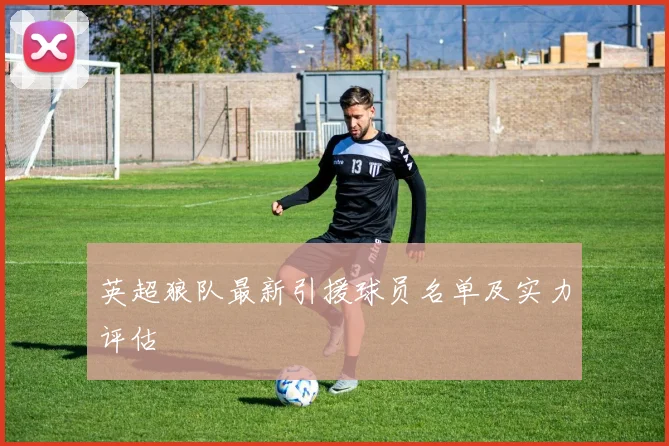 英超狼队最新引援球员名单及实力评估