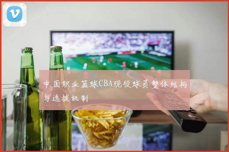 中国职业篮球CBA现役球员整体结构与选拔机制