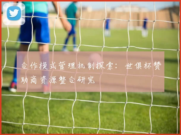 合作模式管理机制探索：世俱杯赞助商资源整合研究