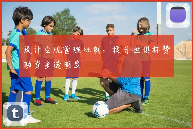 设计合规管理机制，提升世俱杯赞助资金透明度