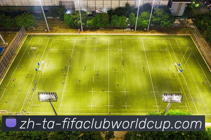 世界杯赛程平台生态图